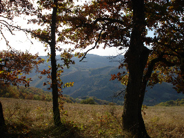 Vakantie huisje huren Aveyron